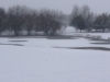 Pool on 3rd Hole